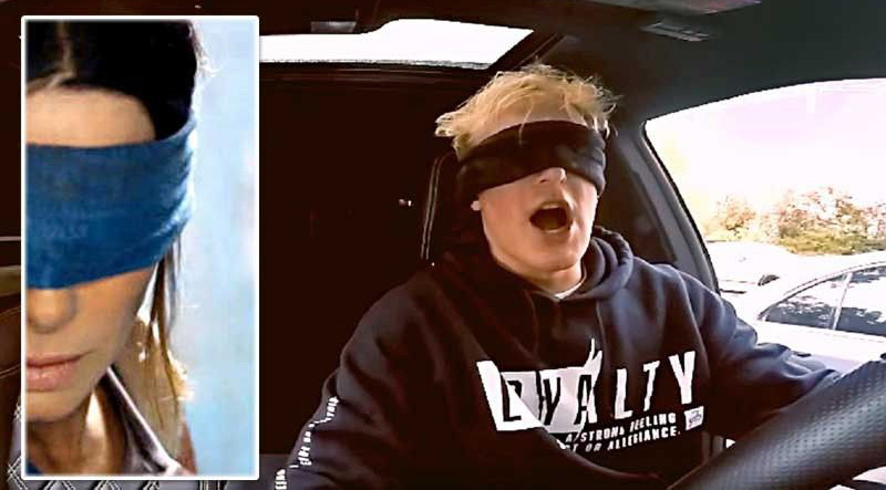 bird box challenge video en voiture