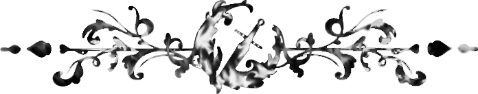 separation-ligne-lunaris-color2.png