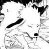 akamaru