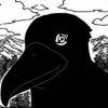 corbeau-ditachi