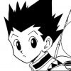 gon-freecss